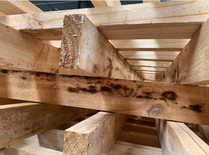 山東防霉劑價(jià)格